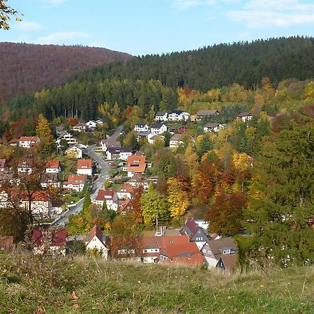 Pension Rheingold Garni Bad Grund Exterior foto