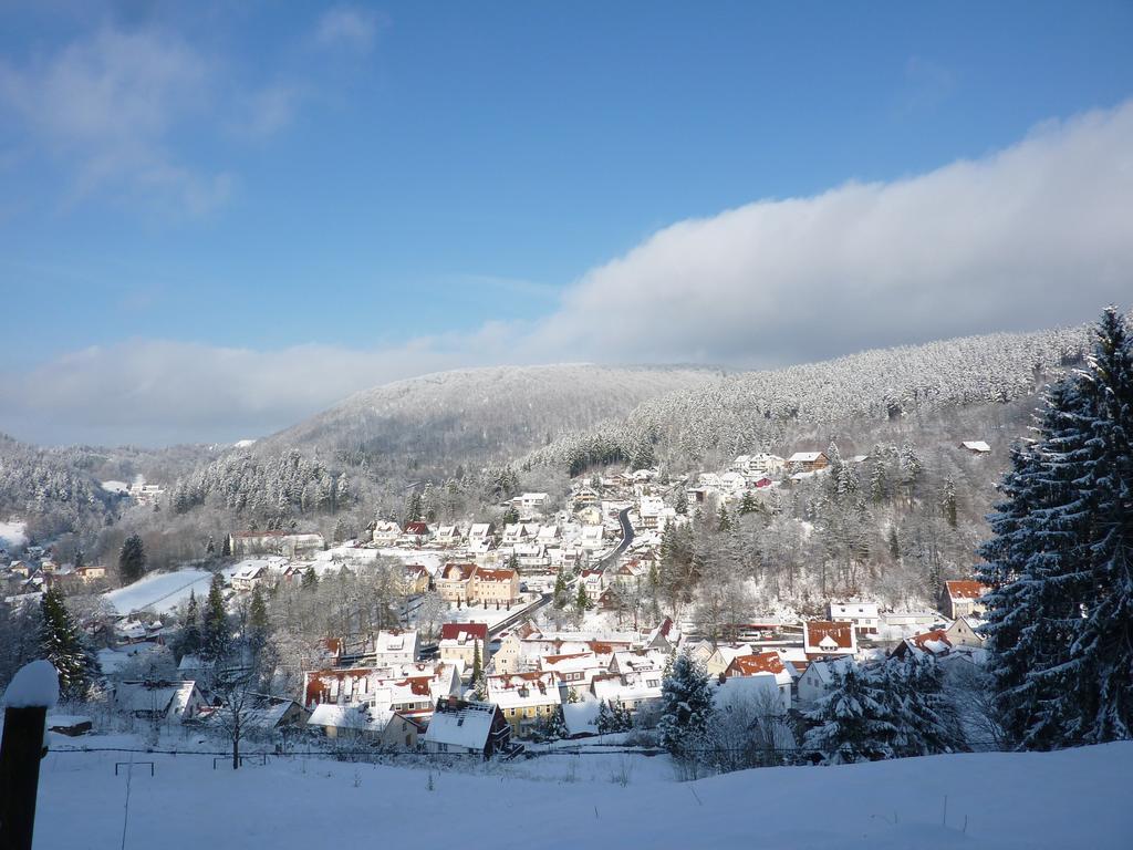Pension Rheingold Garni Bad Grund Exterior foto