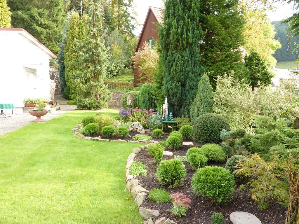 Pension Rheingold Garni Bad Grund Quarto foto