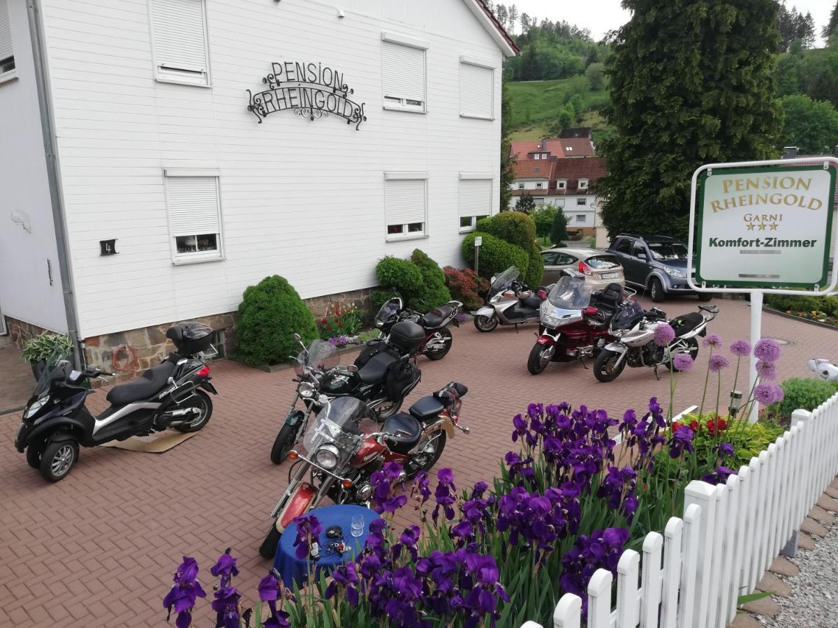 Pension Rheingold Garni Bad Grund Exterior foto