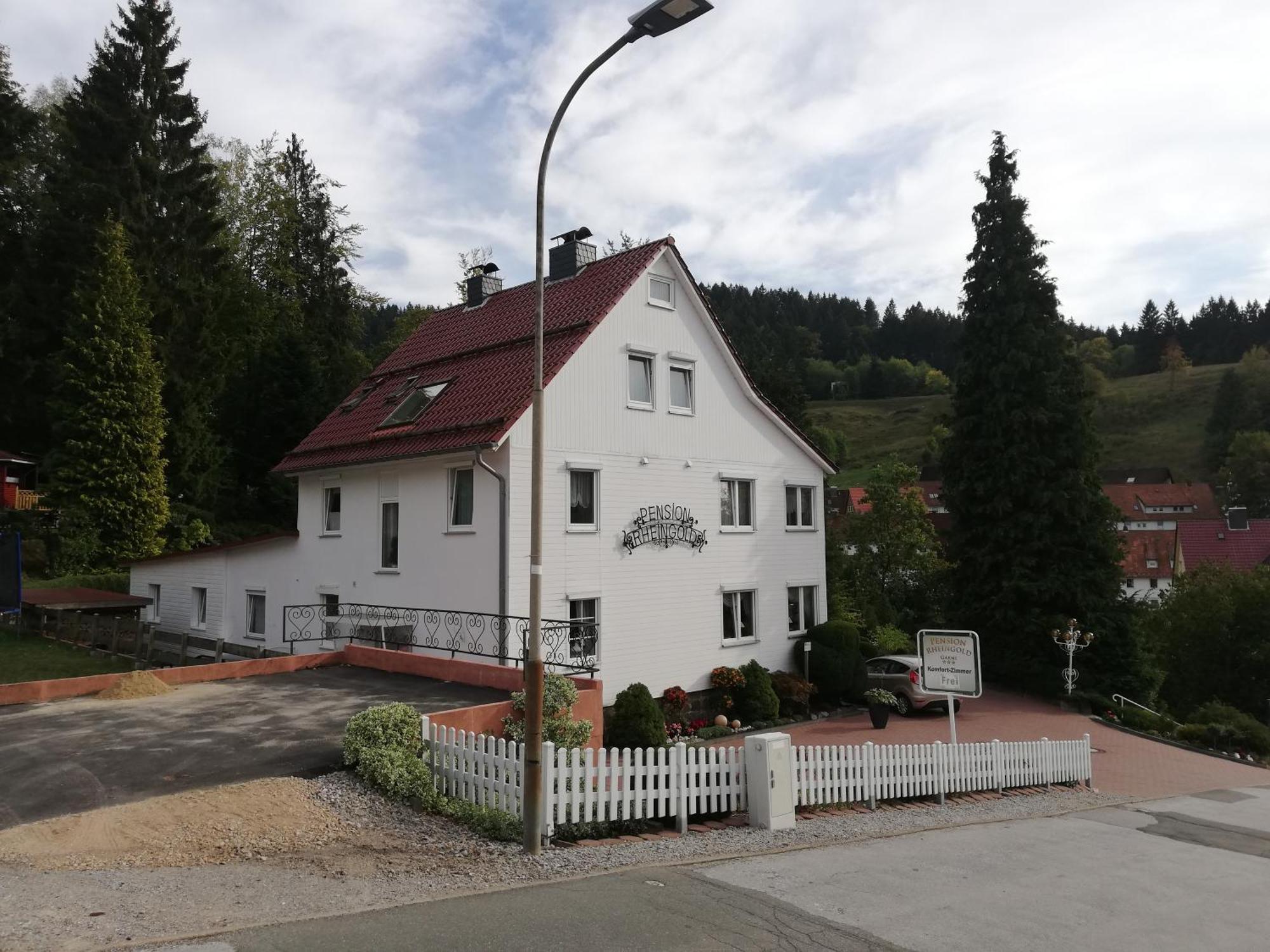 Pension Rheingold Garni Bad Grund Exterior foto