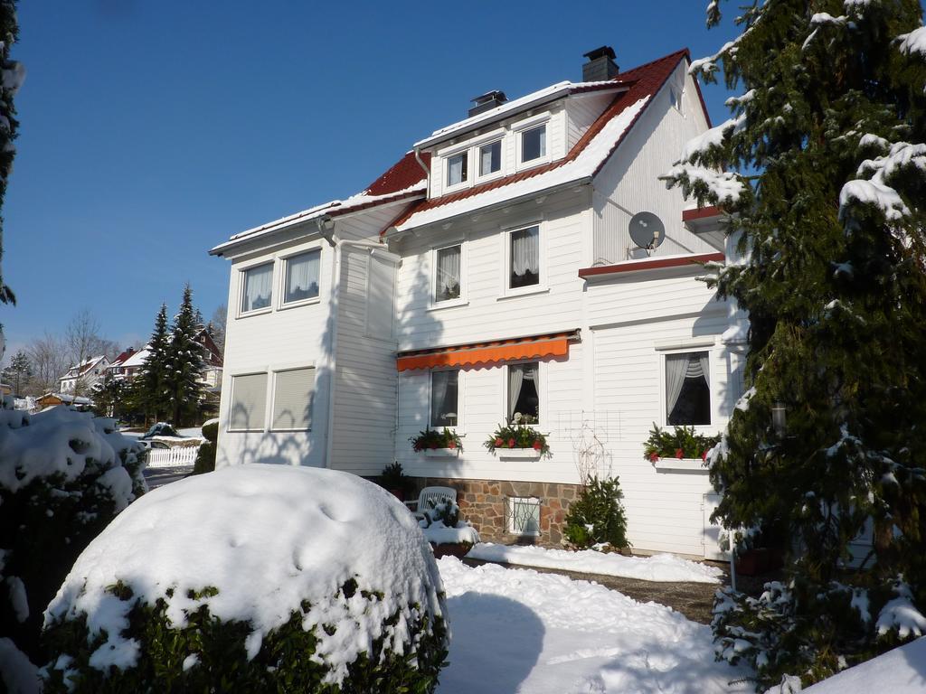 Pension Rheingold Garni Bad Grund Exterior foto