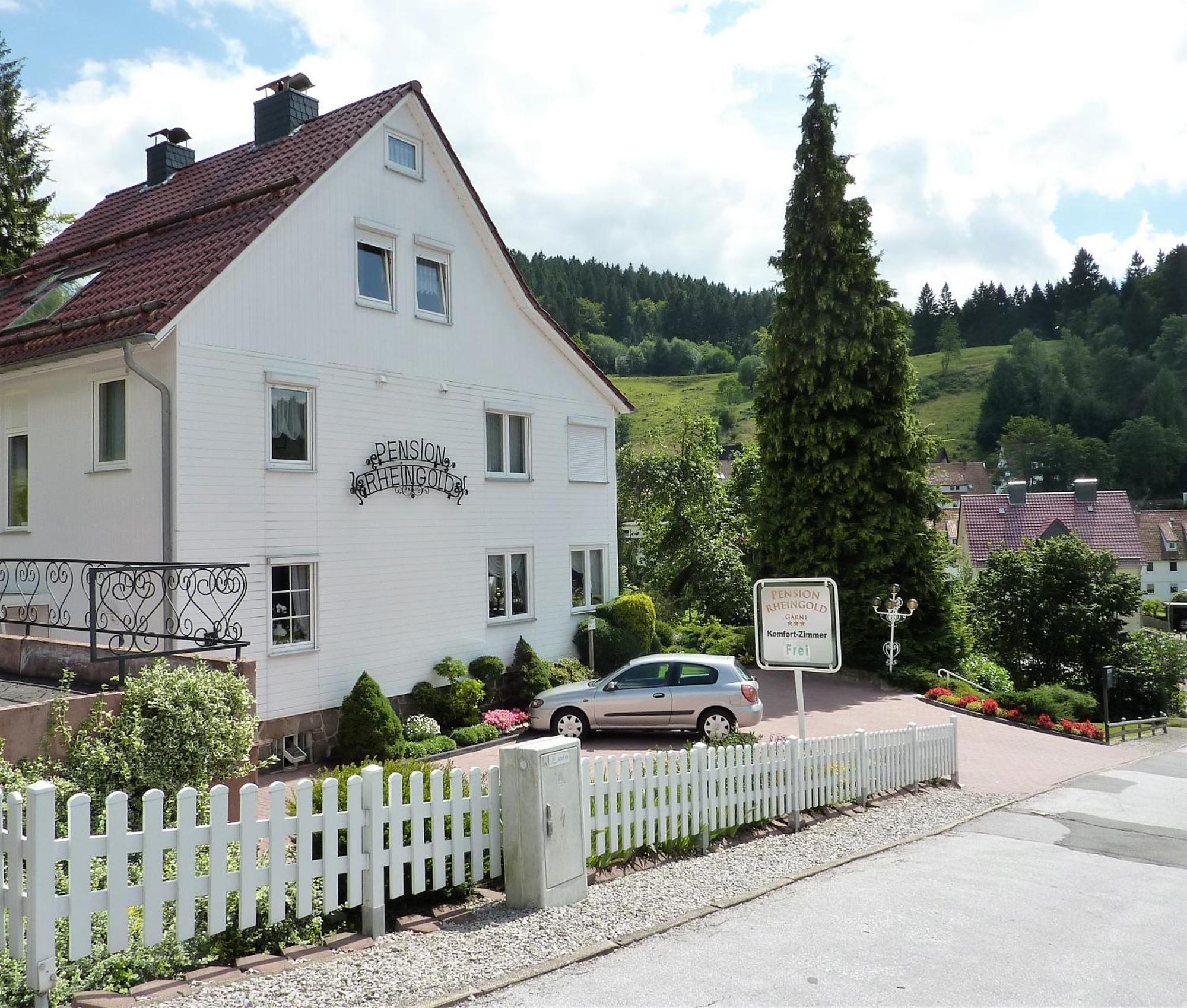 Pension Rheingold Garni Bad Grund Exterior foto