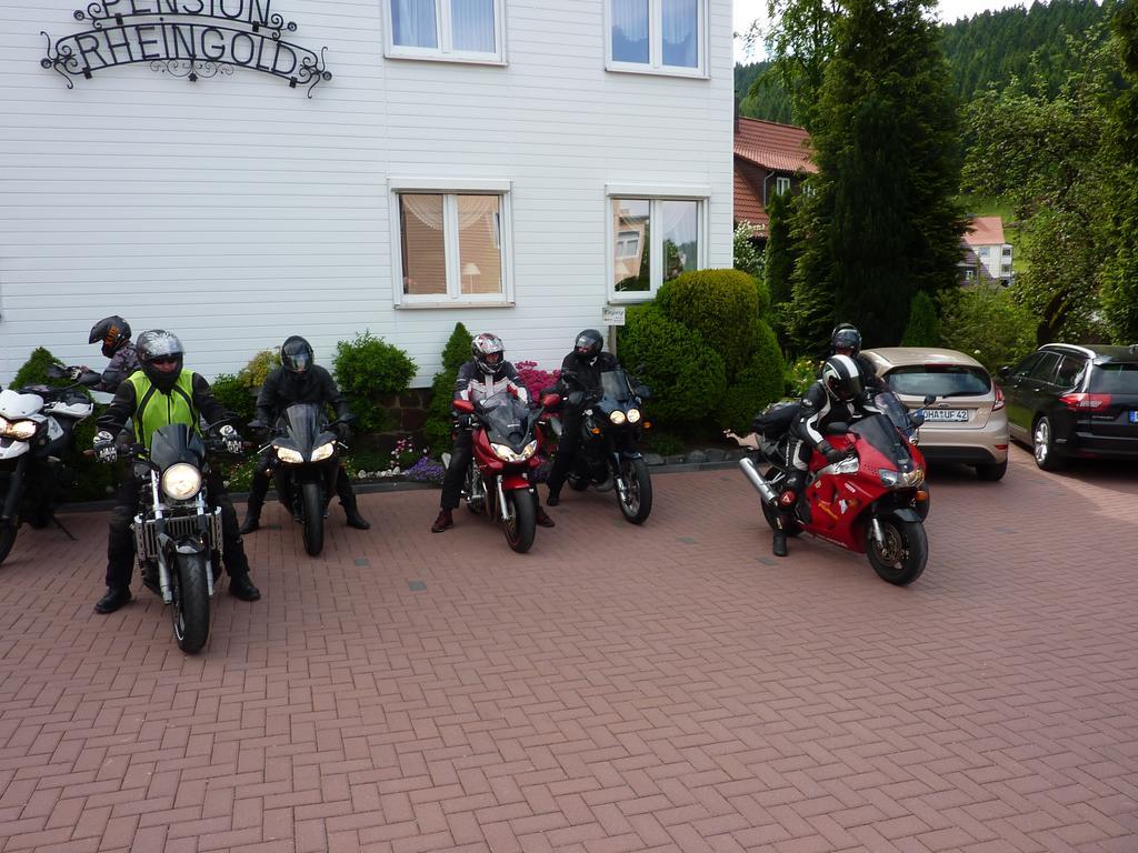 Pension Rheingold Garni Bad Grund Exterior foto