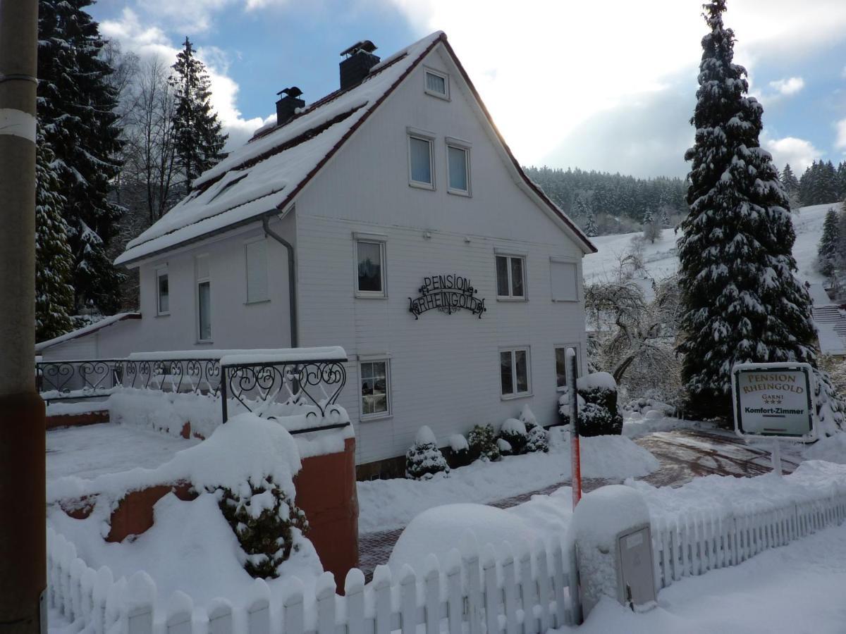 Pension Rheingold Garni Bad Grund Exterior foto